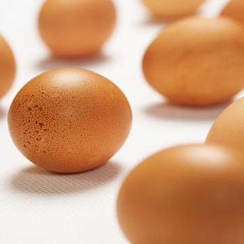 Eggs: The Perfect Diet Food?