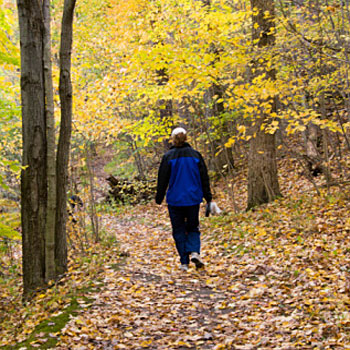 Great Walking Workouts