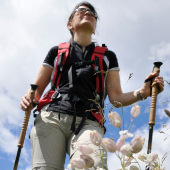 Hiking: A Sport for the Times