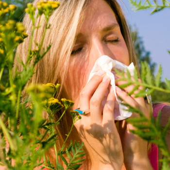 Natural Allergy Remedies