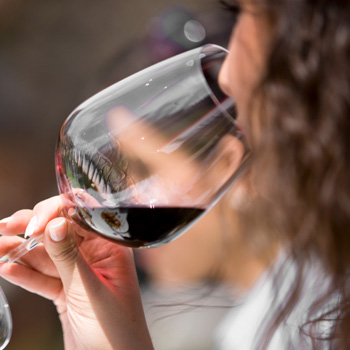 An Informational Guide to Wine Tasting