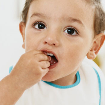 Nutritious Finger Foods Toddlers Love