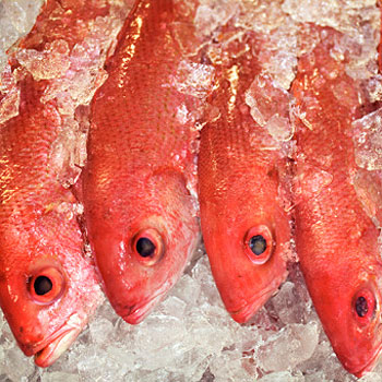 Fresh Fish: What to Look For