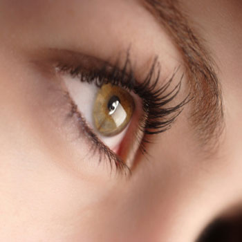 Take Lashes to Great Lengths