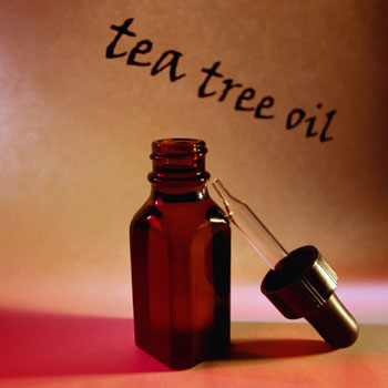 Tea Tree Oil: What It’s Good For