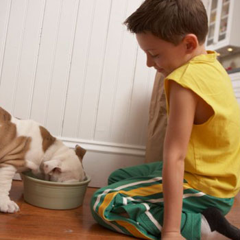 Groom Your Children to be Good Pet Owners