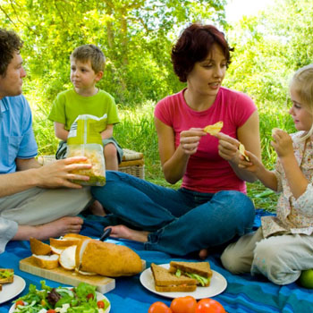 Planning the Perfect Picnic