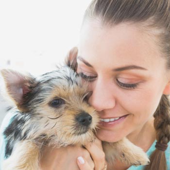 Puppy Love: Does Your Pet Really Love You?